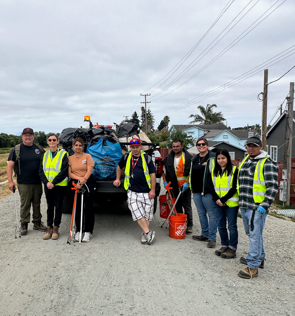 Cleanups image