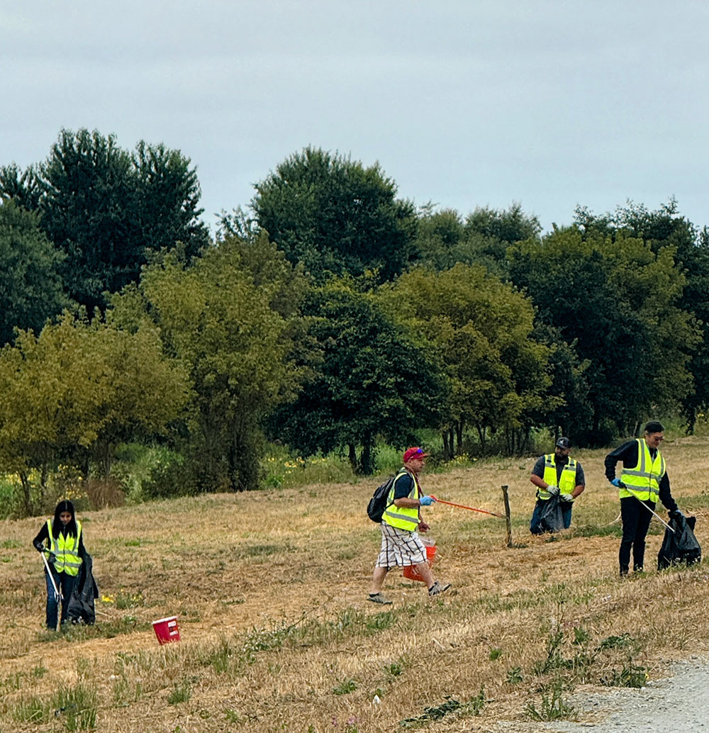 Cleanups image