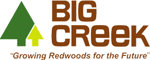 Big Creek Lumber